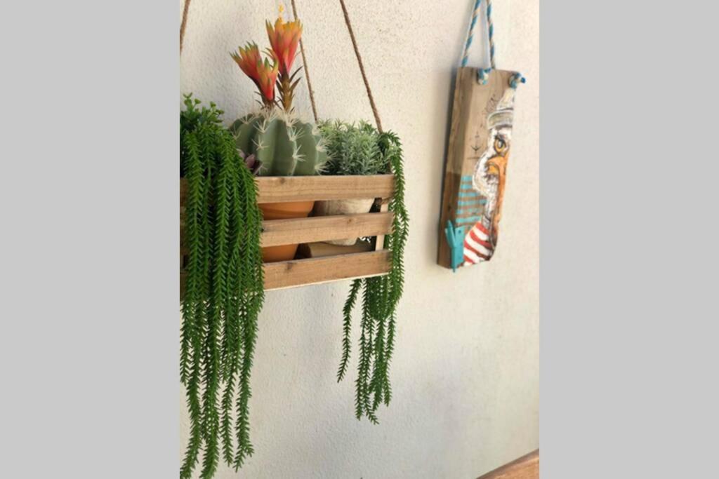 Marea Fuerteventura Home 1 Corralejo Eksteriør bilde